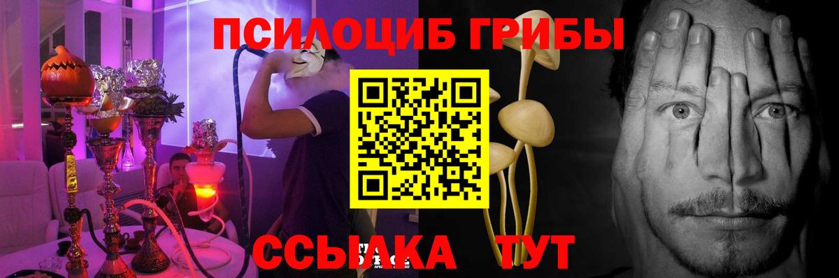 Псилоцибиновые грибы GOLDEN TEACHER Гудермес
